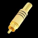ار سي ذهبي ذكر اسود RCA male black