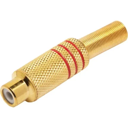 ار سي ذهبي انثى احمر RCA Female Red